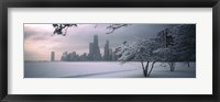 Snow covered tree on the beach with a city in the background, North Avenue Beach, Chicago, Illinois, USA Fine Art Print