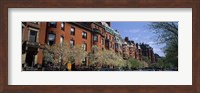 Buildings in a street, Commonwealth Avenue, Boston, Suffolk County, Massachusetts, USA Fine Art Print