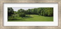 Trees On A Golf Course, Baltimore Country Club, Baltimore, Maryland, USA Fine Art Print