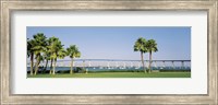 Palm trees on the coast with bridge in the background, Coronado Bay Bridge, San Diego, San Diego County, California, USA Fine Art Print