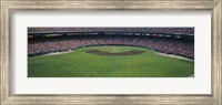 Baseball stadium, San Francisco, California, USA Fine Art Print