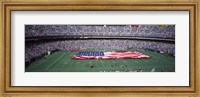 Veterans Stadium, Philadelphia, Pennsylvania Fine Art Print
