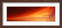 Low angle view of antennas, Phoenix, Arizona, USA Fine Art Print