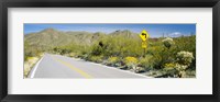 Directional signboard at the roadside, McCain Loop Road, Tucson Mountain Park, Tucson, Arizona, USA Fine Art Print