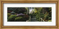Plants in a garden, Japanese Tea Garden, San Francisco, California, USA Fine Art Print