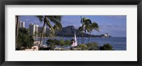 Palm trees on Waikiki Beach, Oahu, Honolulu, Hawaii Fine Art Print
