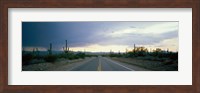 Desert Road near Tucson Arizona USA Fine Art Print
