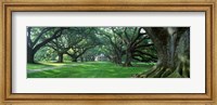 USA, Louisiana, New Orleans, Oak Alley Plantation, plantation home through alley of oak trees Fine Art Print