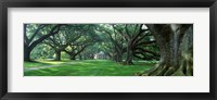 USA, Louisiana, New Orleans, Oak Alley Plantation, plantation home through alley of oak trees Fine Art Print
