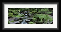 River Flowing Through A Forest, Inniswood Metro Gardens, Columbus, Ohio, USA Fine Art Print