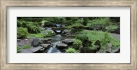 River Flowing Through A Forest, Inniswood Metro Gardens, Columbus, Ohio, USA Fine Art Print