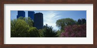 Low angle view of skyscrapers viewed from a park, Central Park, Manhattan, New York City, New York State, USA Fine Art Print