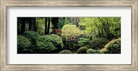 Panoramic view of a garden, Japanese Garden, Washington Park, Portland, Oregon Fine Art Print