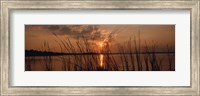 Sunset over a lake, Lake Travis, Austin, Texas Fine Art Print