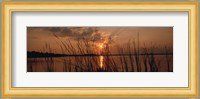 Sunset over a lake, Lake Travis, Austin, Texas Fine Art Print