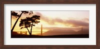 Silhouette of trees at sunset, Golden Gate Bridge, San Francisco, California, USA Fine Art Print