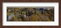 High angle view of trees, Denver, Colorado, USA Fine Art Print