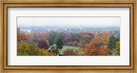 High angle view of a cemetery, Arlington National Cemetery, Washington DC, USA Fine Art Print