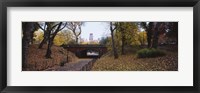 Bridge in a park, Central Park, Manhattan, New York City, New York State, USA Fine Art Print