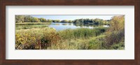 Reflection of trees in water, Odana Hills Golf Course, Madison, Dane County, Wisconsin, USA Fine Art Print