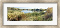 Reflection of trees in water, Odana Hills Golf Course, Madison, Dane County, Wisconsin, USA Fine Art Print