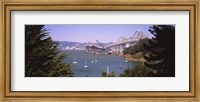 Cranes at a bridge construction site, Bay Bridge, San Francisco, California Fine Art Print