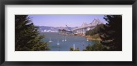 Cranes at a bridge construction site, Bay Bridge, San Francisco, California Fine Art Print