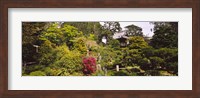 Cottage in a park, Japanese Tea Garden, Golden Gate Park, San Francisco, California, USA Fine Art Print
