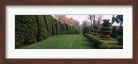 Hedge in a formal garden, Ladew Topiary Gardens, Monkton, Baltimore County, Maryland Fine Art Print