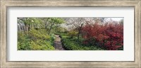 Trees in a garden, Garden of Eden, Ladew Topiary Gardens, Monkton, Baltimore County, Maryland, USA Fine Art Print