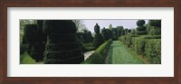 Sculptures formed from trees and plants in a garden, Ladew Topiary Gardens, Monkton, Baltimore County, Maryland, USA Fine Art Print