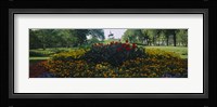 Flowers in a park, Grant Park, Chicago, Cook County, Illinois, USA Fine Art Print