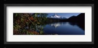 Reflection of a mountain in a lake, Mt Hood, Lost Lake, Mt. Hood National Forest, Hood River County, Oregon, USA Fine Art Print