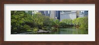 Pond in a park, Central Park South, Central Park, Manhattan, New York City, New York State, USA Fine Art Print