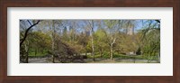 Trees in a park, Central Park West, Central Park, Manhattan, New York City, New York State, USA Fine Art Print