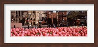 Tulips in a garden with Old South Church in the background, Copley Square, Boston, Suffolk County, Massachusetts, USA Fine Art Print