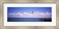 Pier over the sea, Fort De Soto Park, Tampa Bay, Gulf of Mexico, St. Petersburg, Pinellas County, Florida, USA Fine Art Print