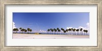 Palm trees at the roadside, Interstate 275, Tampa Bay, Gulf of Mexico, Florida, USA Fine Art Print