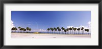 Palm trees at the roadside, Interstate 275, Tampa Bay, Gulf of Mexico, Florida, USA Fine Art Print