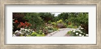 Bench in a garden, Olbrich Botanical Gardens, Madison, Wisconsin, USA Fine Art Print