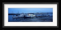 Boats moored at a harbor, Memphis, Mississippi River, Tennessee, USA Fine Art Print
