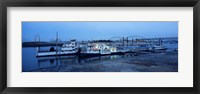Boats moored at a harbor, Memphis, Mississippi River, Tennessee, USA Fine Art Print