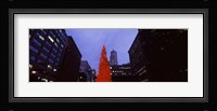 Low angle view of a Christmas tree, San Francisco, California, USA Fine Art Print