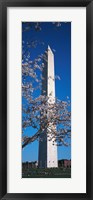 Cherry Blossom in front of an obelisk, Washington Monument, Washington DC, USA Fine Art Print