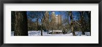 Bare trees with buildings in the background, Central Park, Manhattan, New York City, New York State, USA Fine Art Print