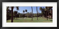 Trees in a campus, University Of Tampa, Florida Fine Art Print