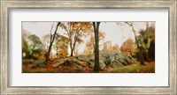 Trees in a park, Central Park, Manhattan, New York City, New York State, USA Fine Art Print