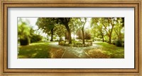 Trees in a park, McCarren Park, Greenpoint, Brooklyn, New York City, New York State, USA Fine Art Print