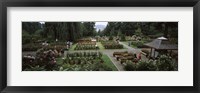 Tourists in a rose garden, International Rose Test Garden, Washington Park, Portland, Multnomah County, Oregon, USA Fine Art Print