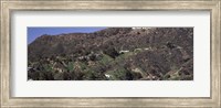 Hollywood Hills, Hollywood, California Fine Art Print